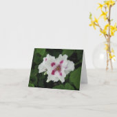 Carte Birthday (Fleur jaune)