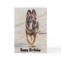 Birthday