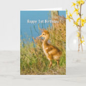 Carte Birthday, 1st, Baby Sandhill Crane (Fleur jaune)