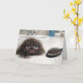 Carte Birthday Baldness Humor (Fleur jaune)