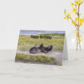 Carte Birthday Bison Wallowing Yellowstone National Park (Fleur jaune)