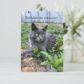 Carte birthday card (Debout devant)