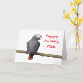 Carte Birthday card Congo African Grey Gray parrot (Fleur jaune)