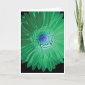 Carte Birthday Card - Don't be negative (Devant)