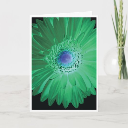 Carte Birthday Card - Don't be negative (Devant)