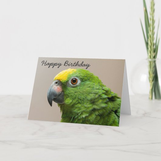 Carte Birthday card Yellow Headed Amazon Parrot (Devant)