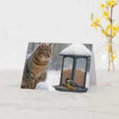 Carte Birthday Cat Watching a Bird On a Feeder (Fleur jaune)