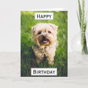 Carte Birthday Dog Dad World's Best Ever Pet Photo