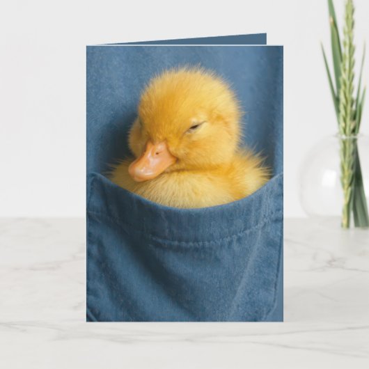 Carte Birthday Duckling In a Blue T-shirt Pocket (Devant)