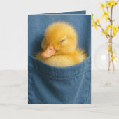 Carte Birthday Duckling In a Blue T-shirt Pocket (Fleur jaune)