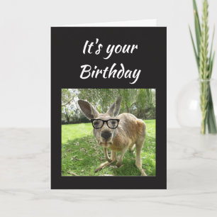 Carte Birthday Fun Kangaroo Australia Animal