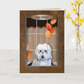 Carte Birthday - Golden Doodle - Window (Fleur jaune)