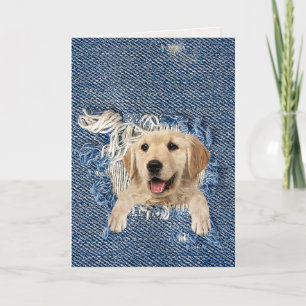 Carte birthday golden retriever in blue denim hole