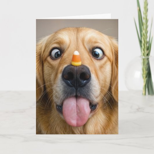 Carte Birthday Golden Retriever With Candy Corn (Devant)