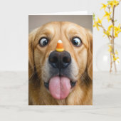 Carte Birthday Golden Retriever With Candy Corn (Fleur jaune)