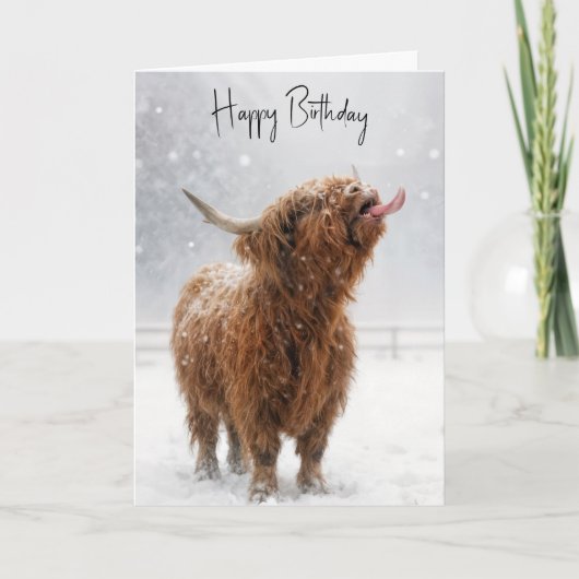 Carte Birthday Highland Cow Licking Snowflakes (Devant)