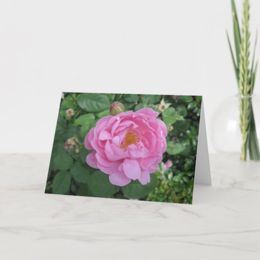 Carte Birthday-Journey Round the Sun (Devant)