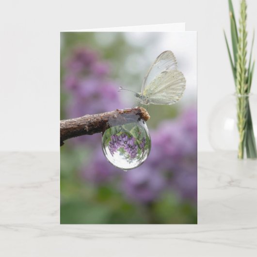 Carte Birthday Lilacs Reflecting in a Raindrop (Devant)