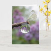 Carte Birthday Lilacs Reflecting in a Raindrop (Fleur jaune)