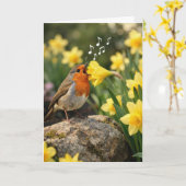 Carte Birthday Robin Singing into a Spring Daffodil (Fleur jaune)
