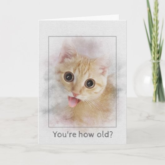 Carte Birthday tabby kitten (Devant)