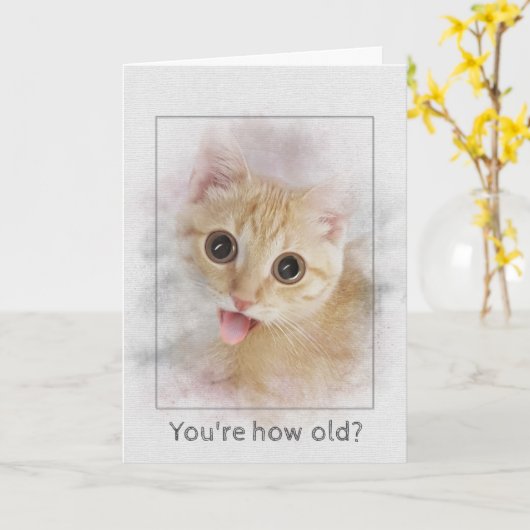 Carte Birthday tabby kitten (Fleur jaune)
