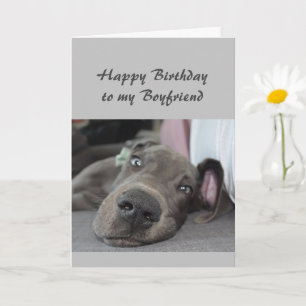 Carte Birthday to my Boyfriend Fun Dog Relax Humor