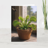 Carte Birthday Venus Flytrap Plant With Flies (Devant)