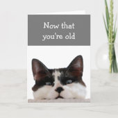 Carte Birthdays (Devant)