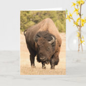 Carte Bison (Fleur jaune)