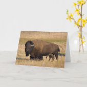 Carte Bison à Yellowstone (Fleur jaune)