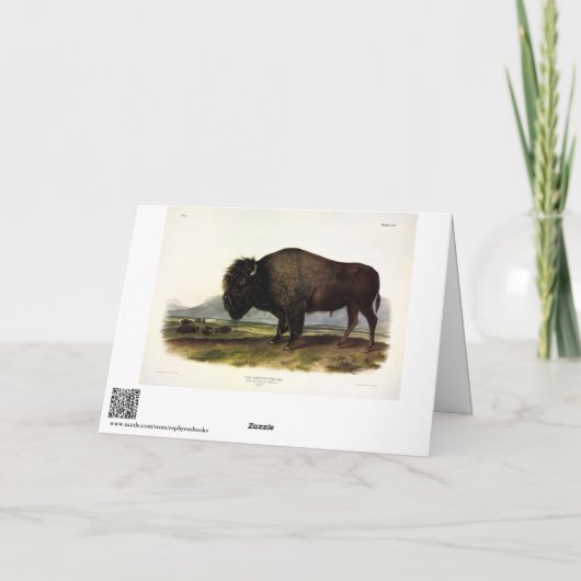 Carte Bison américain, ou bison (bison) - Audubon (Dos)