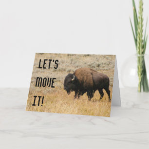 Carte Bison Américain Pâturé Dans L'Herbe Des Prairies P