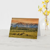 Carte Bison au lever de soleil (Fleur jaune)