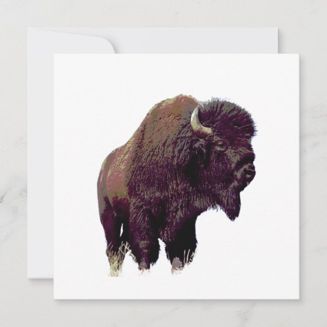 Carte Bison Buffalo  (Devant)