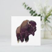 Carte Bison Buffalo Card (Debout devant)