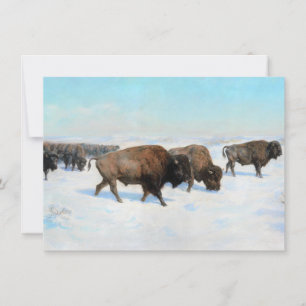 Carte Bison dans la neige (par Rosa Bonheur)