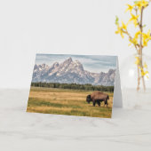Carte Bison dans le Tetons (Fleur jaune)