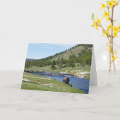 Carte Bisons au Parc national de Yellowstone (Fleur jaune)
