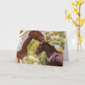 Carte Bisous de Maman (Fleur jaune)