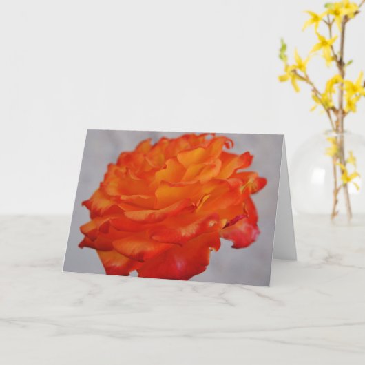 Carte Bit Art Rose Orange Lumineux (Fleur jaune)