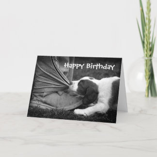 Carte Biter de cheville