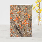 Carte Bitsweet Note (Fleur jaune)