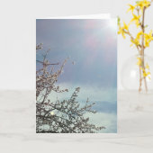 Carte Bizzy Beezzz (Fleur jaune)