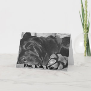 Carte bla, bla, bla