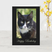 Carte Black and White Cat (Fleur jaune)