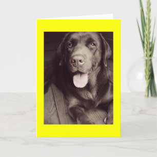 Carte Black And White Labrador Retriever Dog Note Card
