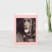 Carte Black And White Labrador Retriever Dog Note Card (Devant)