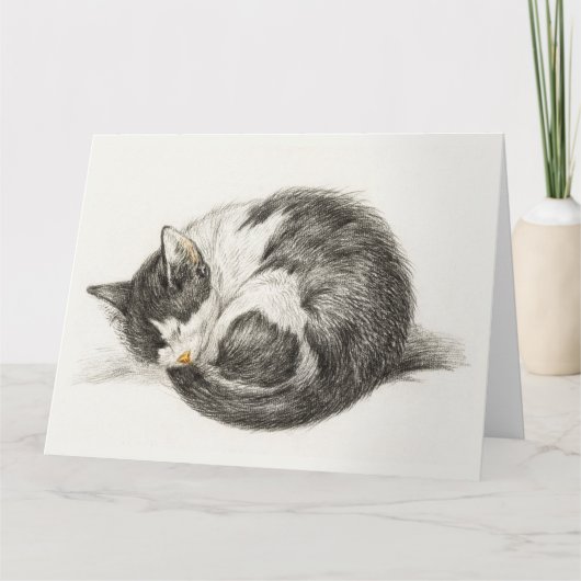 Carte Black and white pencil drawing of a sleepcat (Devant)