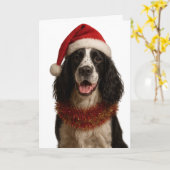 Carte Black and white Springer Spaniel Christmas card (Fleur jaune)